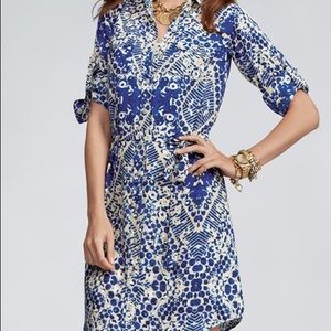 CAbi Jewel Shirt dress